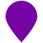 Purple_Coin_2